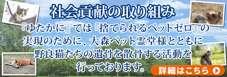 社会貢献の取り組み