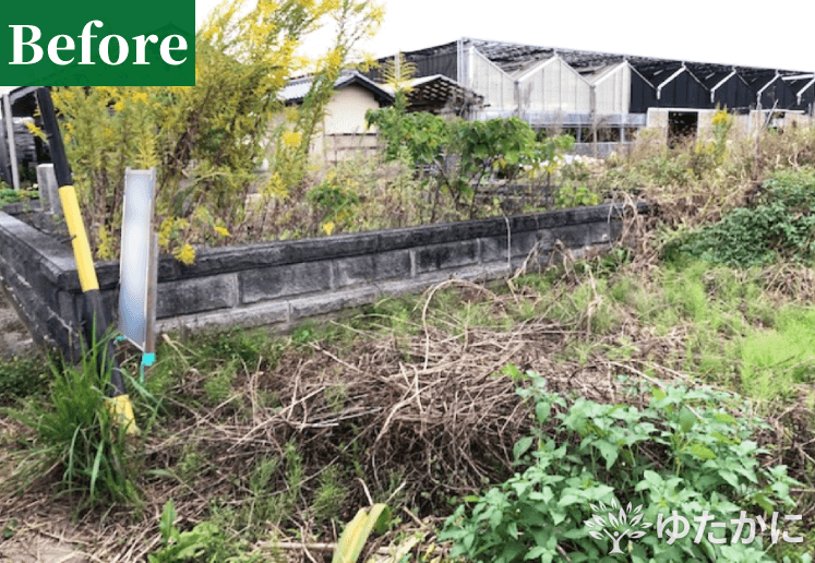 東京都の沖恵子様-before