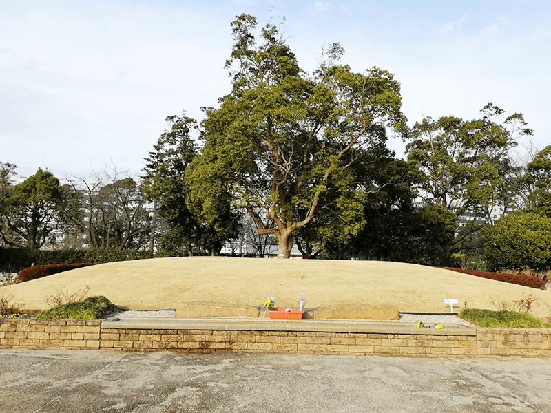 横浜市営墓地メモリアルグリーン 合葬式樹木型納骨施設
