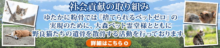 社会貢献の取り組み