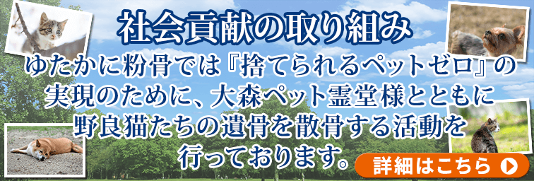 社会貢献の取り組み
