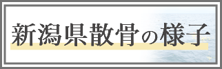 直近の新潟県での散骨の様子