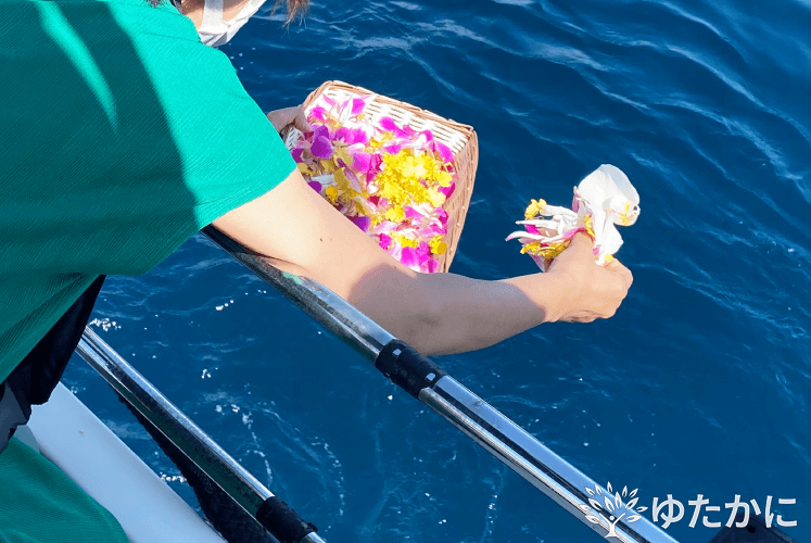 愛知県の伊原小百合